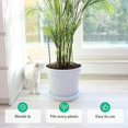 thumbnail image 3 of Kit of 10 Plant Stakes - Supports for Climbing Plants and Flowers - Green Stake - Help Your Plants Grow - Garden Tomato Stakes - Stakes for Hydrangeas, Peonies, Perennials and More, 3 of 5