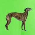 thumbnail image 3 of CafePress - Greyhound (Brindle) Light T Shirt - Light T-Shirt - CP, 3 of 4