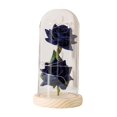 thumbnail image 3 of AMLESO Creative Flower Arrangement Crafts with Light Flowers Glass Cover Decoration for Blue, 3 of 8