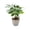 A, variant on Bonsai Tree Artificial Luck Plant Fake Tree for Desk Decor, Small Tabletop Indoor Home Office Decoration, Green