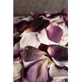 thumbnail image 2 of Freeze Dried Amethyst & Cream Soft Rose Petals 5 Cups, 2 of 3