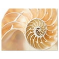 thumbnail image 2 of Brown Nautilus Shell Pattern - Abstract Canvas Art Print, 2 of 3