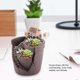 thumbnail image 4 of Pot de fleurs en résine pour cactus, décoration de maison, pour plantes succulentes, pour la maison ou le bureau, 4 of 4