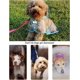 thumbnail image 4 of 1 poncho para perros con capucha transparente, ajustable y fácil de poner, impermeable y cortavientos, apto para perros pequeños y medianos, 4 of 5