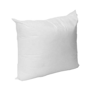 Ogallala 20” x 20” Throw Pillow Insert