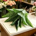 thumbnail image 6 of Artificial Zebra , 19.6" Zebra Leaf Spray, Aphelandra Squarrosa with Green & Yellow Stripes, Maintenance Free Greenery for Home Office Table Centerpiece, 6 of 6