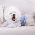 thumbnail image 3 of Vestido de princesa con chaleco de gasa y flores para perros y gatos de verano, 3 of 4