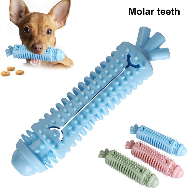 Dropship New Rubber Dog Toy With Thorn Bone Rubber Molar Teeth Pet Toy Dog  Bite Resistant Molar Training Dog Toys For Small Dogs to Sell Online at a  Lower Price