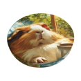 thumbnail image 1 of Balery Lazy Home Style Guinea Pig Fundas de asiento para taburete de bar redondo de tela de terciopelo ajustables que protegen de arañazos y manchas para sillas de 14 a 17 pulgadas.-13 inch, 1 of 7