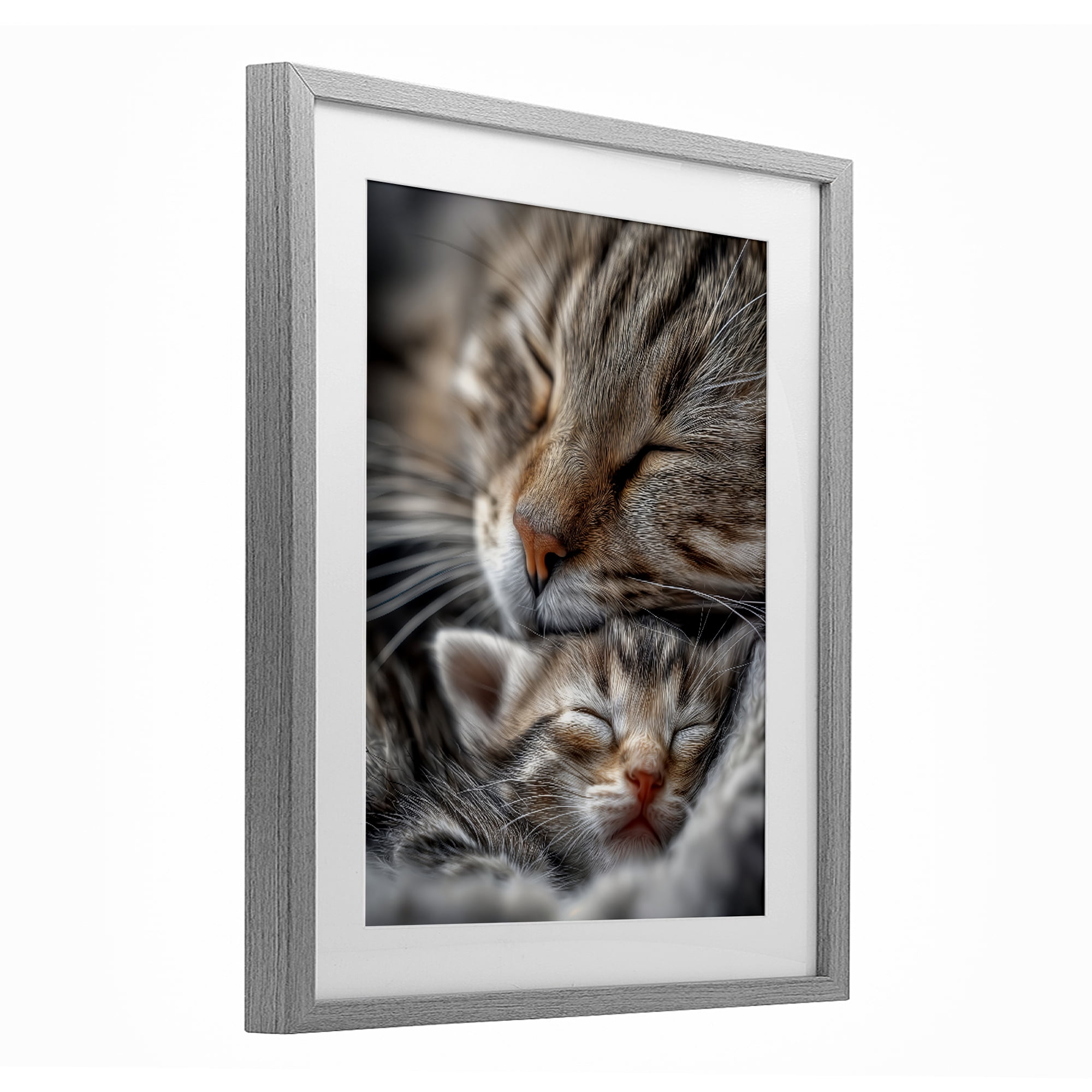 Stupell Industries Kitty Love Cuddles Gray Framed Print Under Glass, design by Scott Stulberg