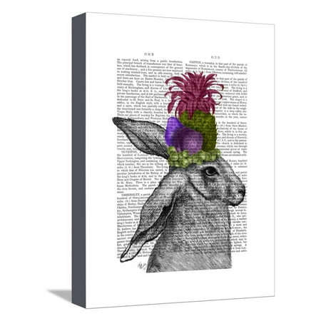 Rabbit, Fruit Headdress Stretched Canvas Print Wall Art By Fab Funky
