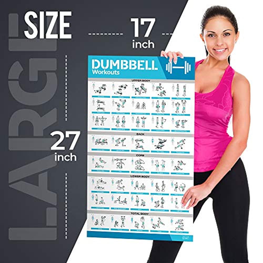 Exercise Workout Poster Set Suspension Dumbbell Bodyweight & More Fitness Gym Posters Laminated, 17 x 28 Double Sided Kettlebell Resistance Bands 12 Pack Yoga