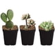 thumbnail image 3 of Macetas De Plástico Para Vivero De 20 Piezas, Macetas Con Orificios De Drenaje, Macetas De Vivero Para Interior Y Exterior seitruly HA035310-00, 3 of 6