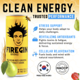 thumbnail image 4 of FIREGIN Energy Drink Korean Red Ginseng & Guarana - Crash-Free Energy – Focus, Stamina, Recovery – 78mg Caffeine, Taurine, B Vitamins – HACCP Certified – 8.4 fl oz, Case of 30, 4 of 8