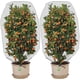 thumbnail image 1 of 2 uds malla de barrera contra insectos y pájaros con cordón-cubierta para plantas de red para insectos de jardín de 4,9x3,2 pies-red para protección de árboles frutales, 1 of 5