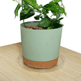 thumbnail image 3 of LEEYNEER 12” Round Clear Plastic Plant Saucers (4 Count), 3 of 8