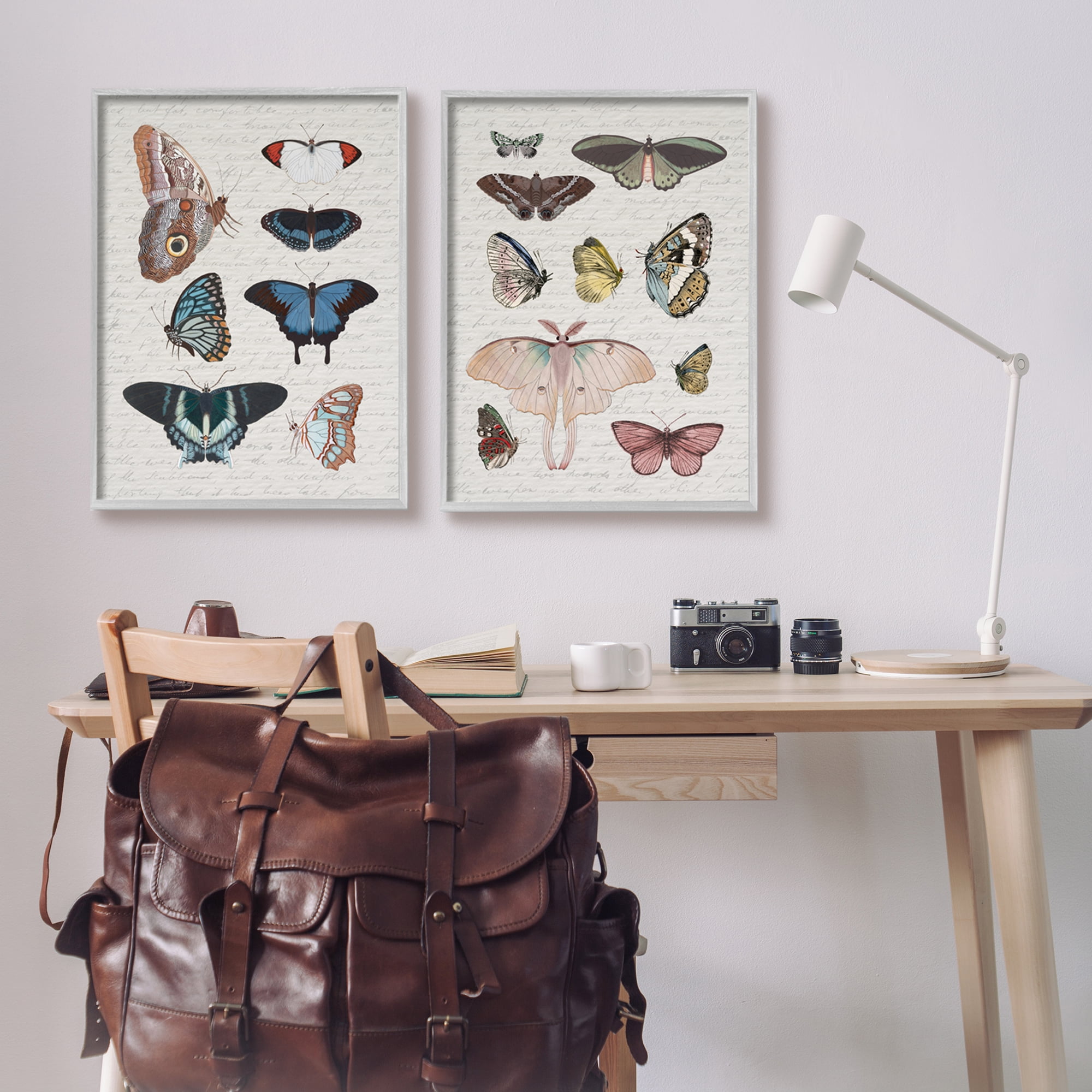 Stupell Industries Vintage Butterflies & Moths Animals & Insects Painting Gray Framed Art Print Wall Art, 24 x 30