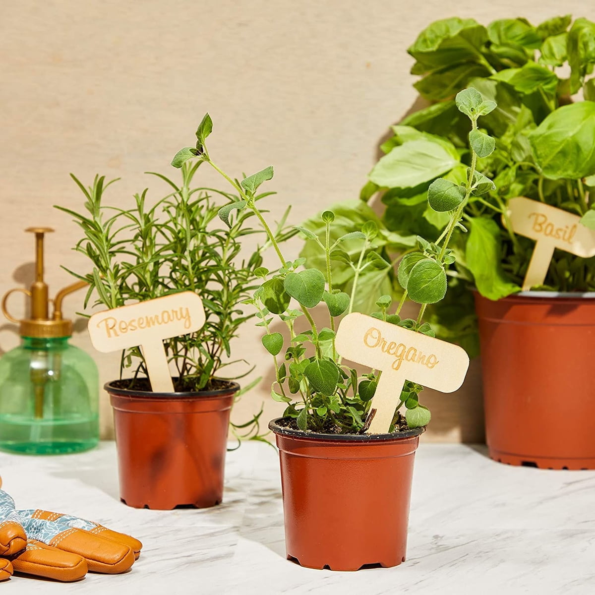 24 Pcs Set Wood Plant Labels Signs Tags, Garden Markers for Indoor and Outdoor Plants, 18 Designs, 2.75 x 3.9 in.