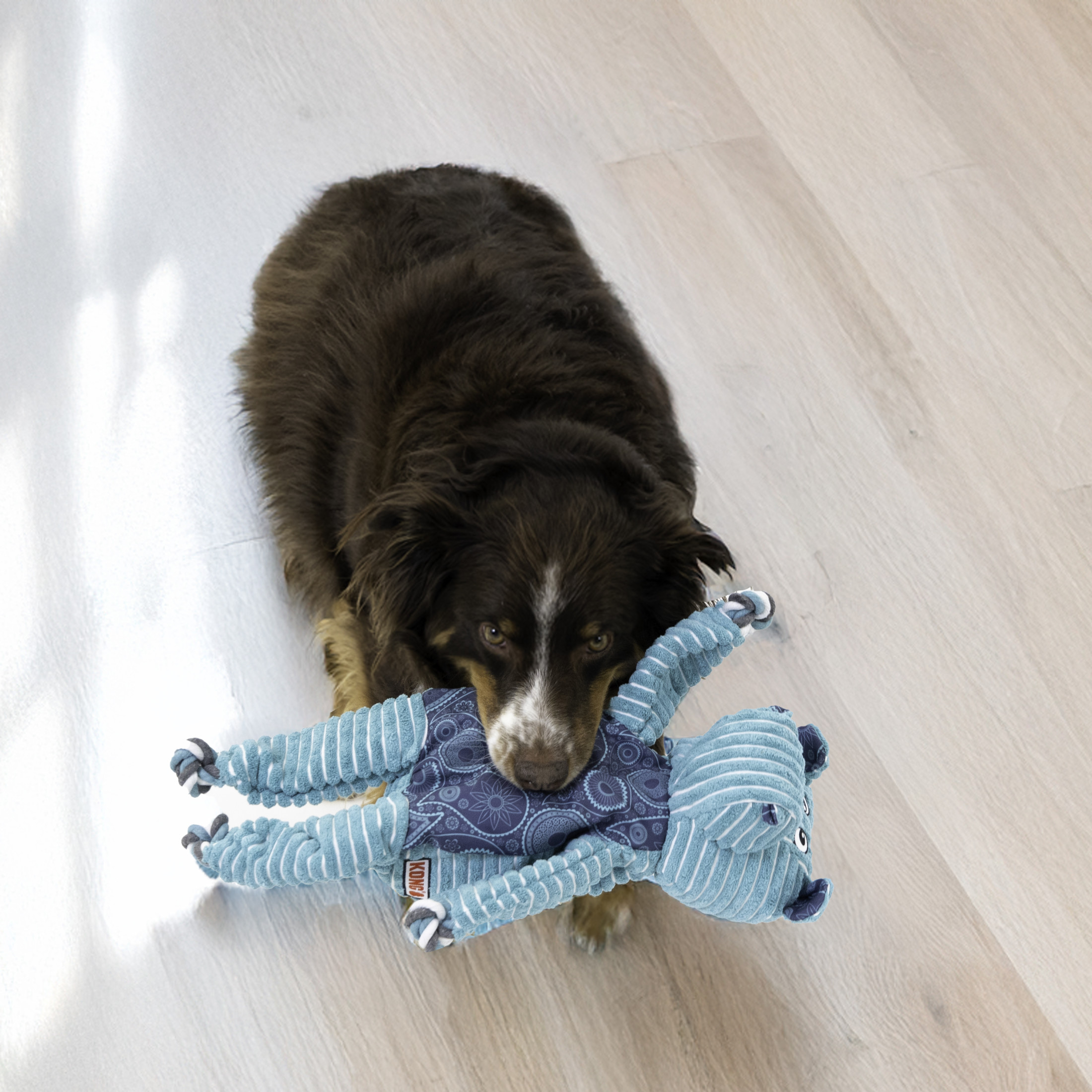 KONG® Floppy Knots Squeaker Dog Toy, Hippo, Jumbo Extra Large