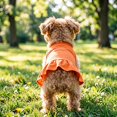 thumbnail image 4 of Sleeveless Pet Dress Summer Breathable Lightweight Cat Dog Apparel for Outdoor Walking,Orange-30cm, 4 of 4