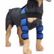 thumbnail image 1 of Suministros para mascotas Rodilleras Protectores de piernas para perros Protector de piernas para perros Cirugía para perros Cubierta protectora para lesiones (Azul S) JM, 1 of 5