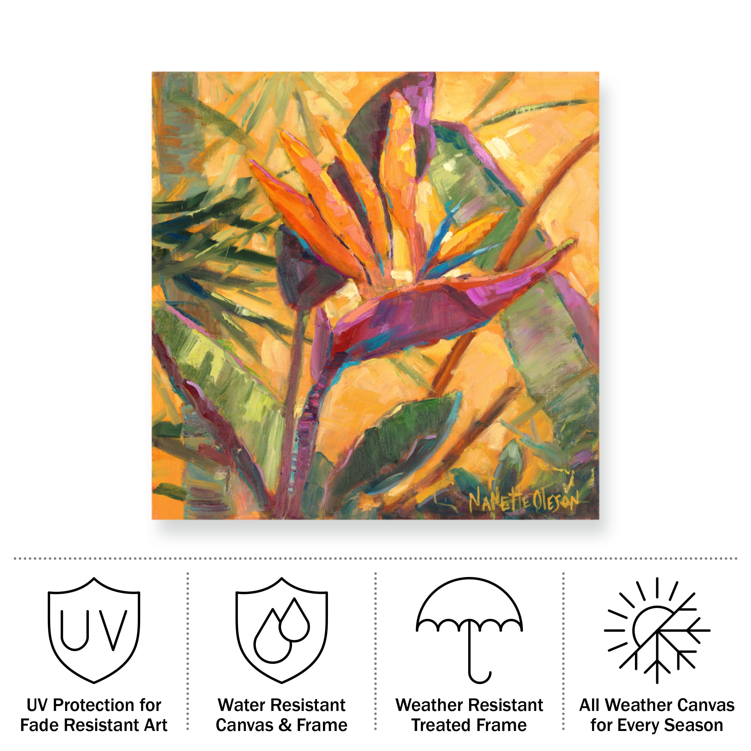 Nanette Oleson 'Splash Of The Tropics I' Outdoor Canvas 35x47