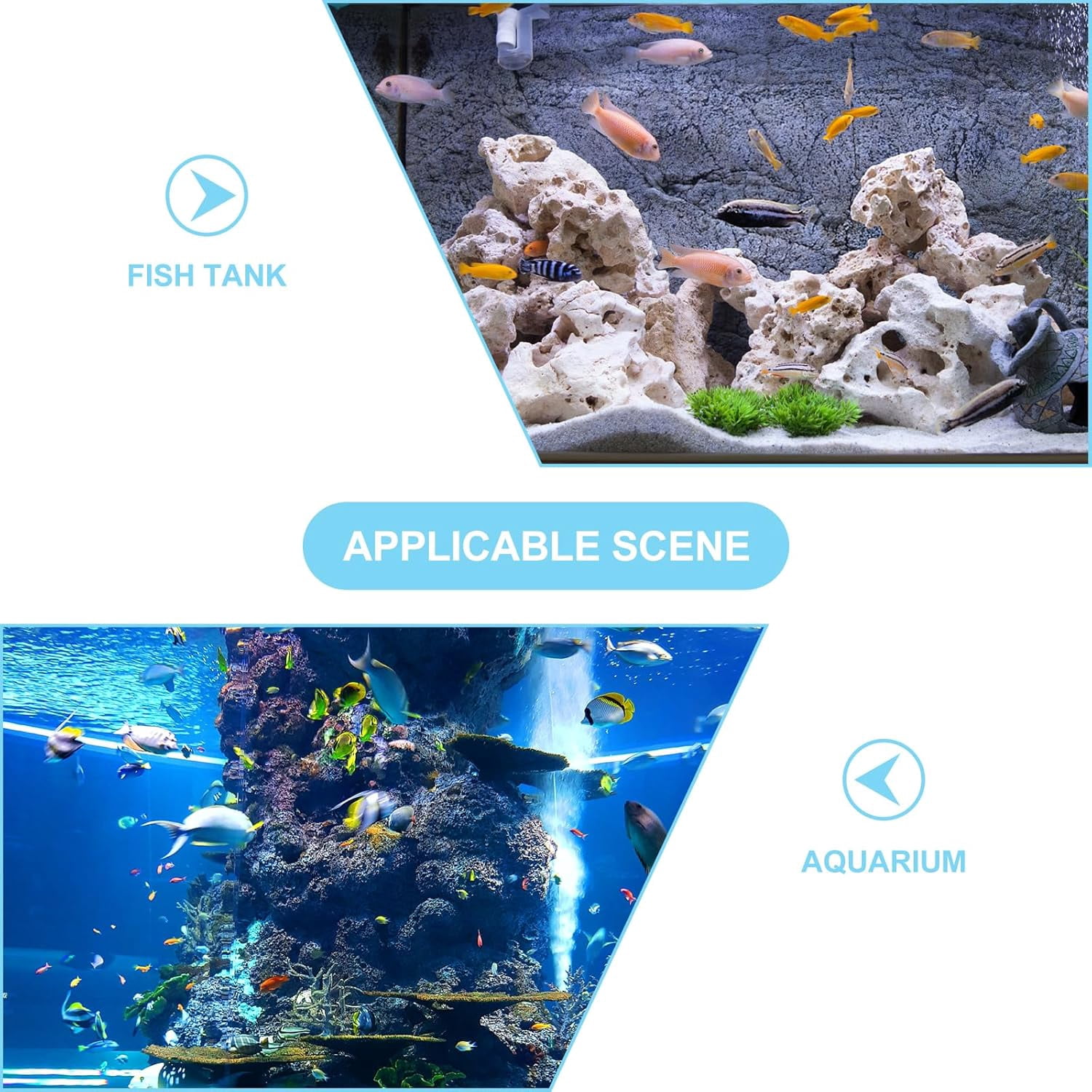 ABCISI Magnetic Coral Rack, Aquarium Plant Magnet Holder, 4 Holes Acrylic Coral Frag Clip, Fish Tank Coral Bracket with Suction Cup for Aquarium Fish Tank Coral Plant Hold Tools