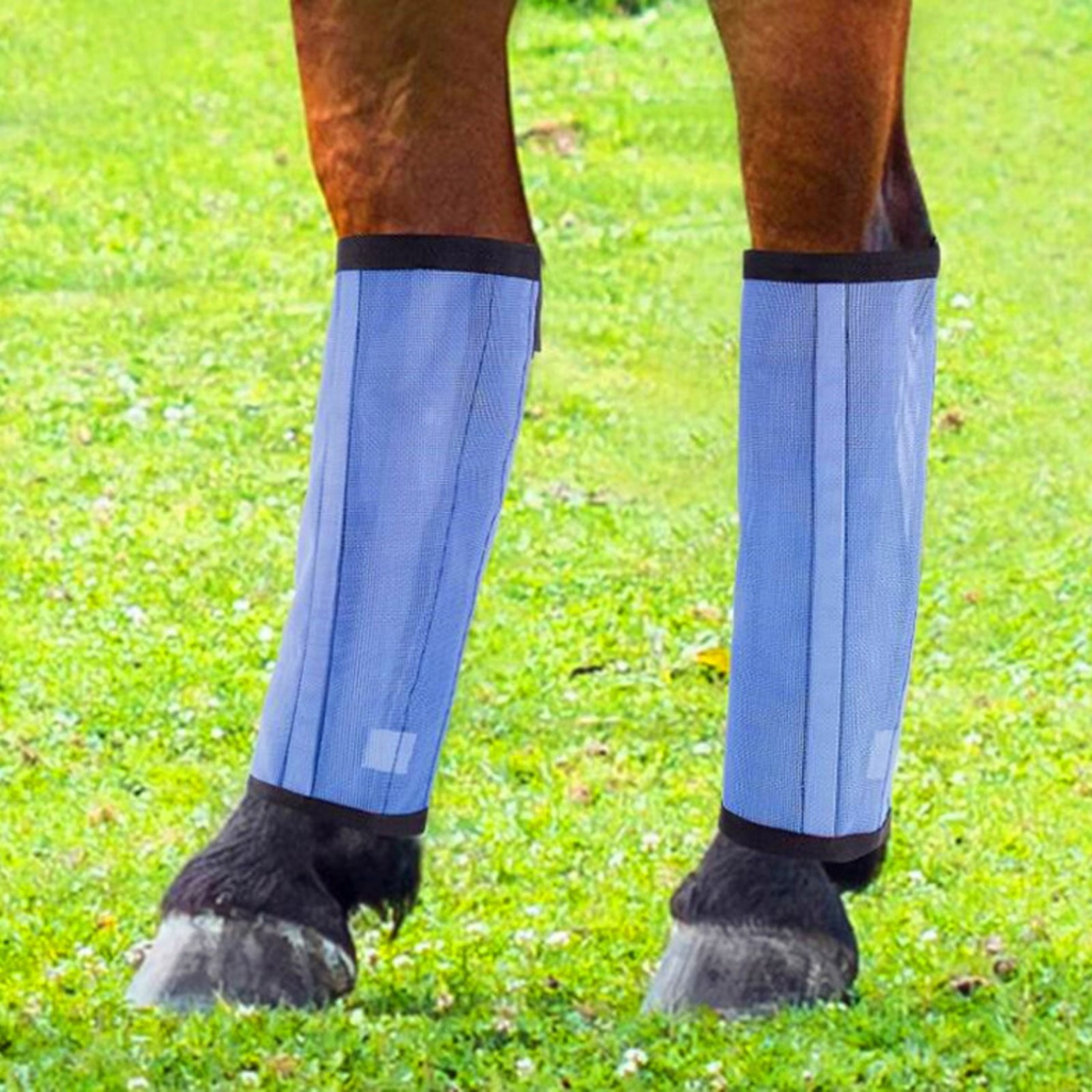 VGEBY Enveloppements de jambe de cheval Bandages de Jambe de