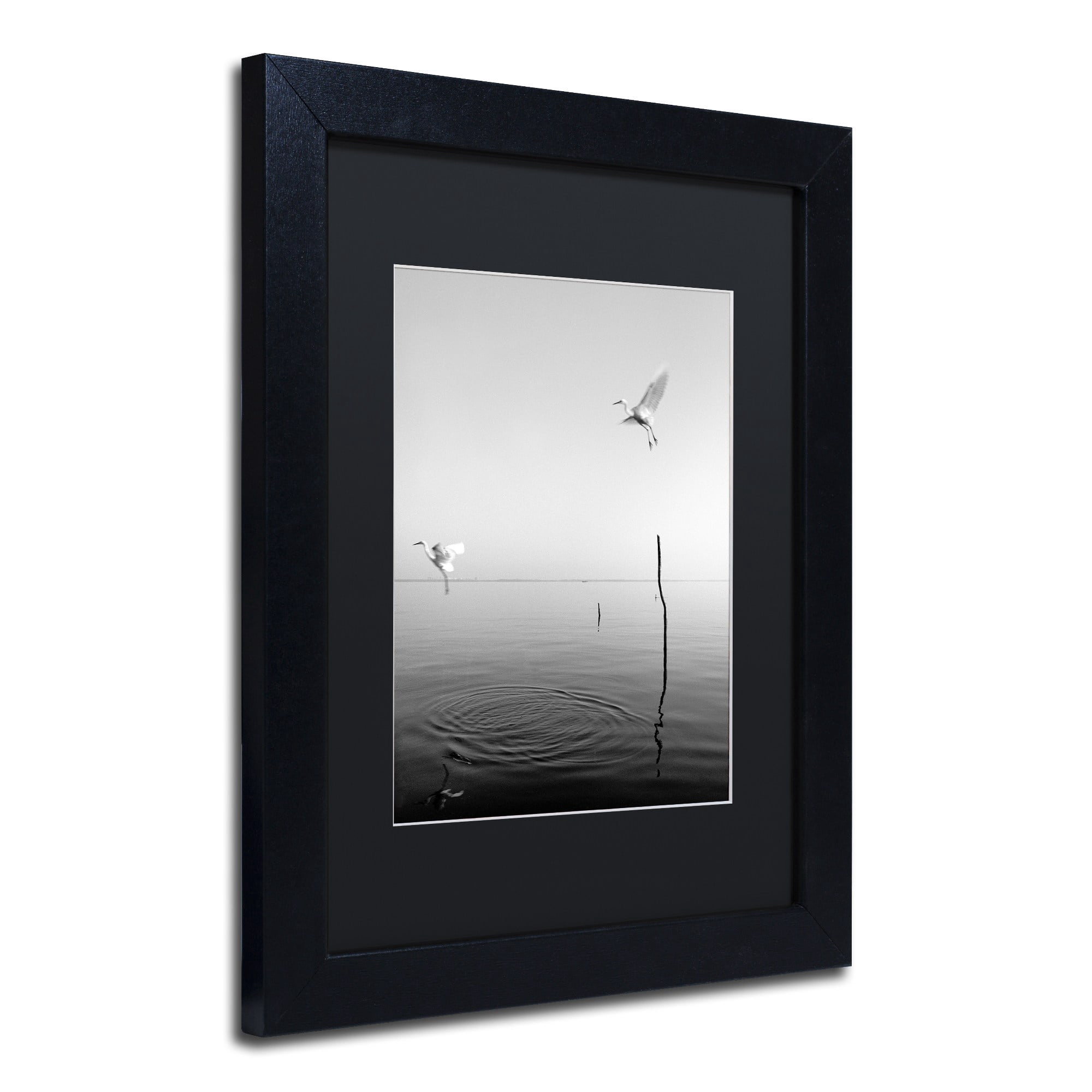 Trademark Fine Art "Flying" Canvas Art by Moises Levy Black Matte, Black Frame