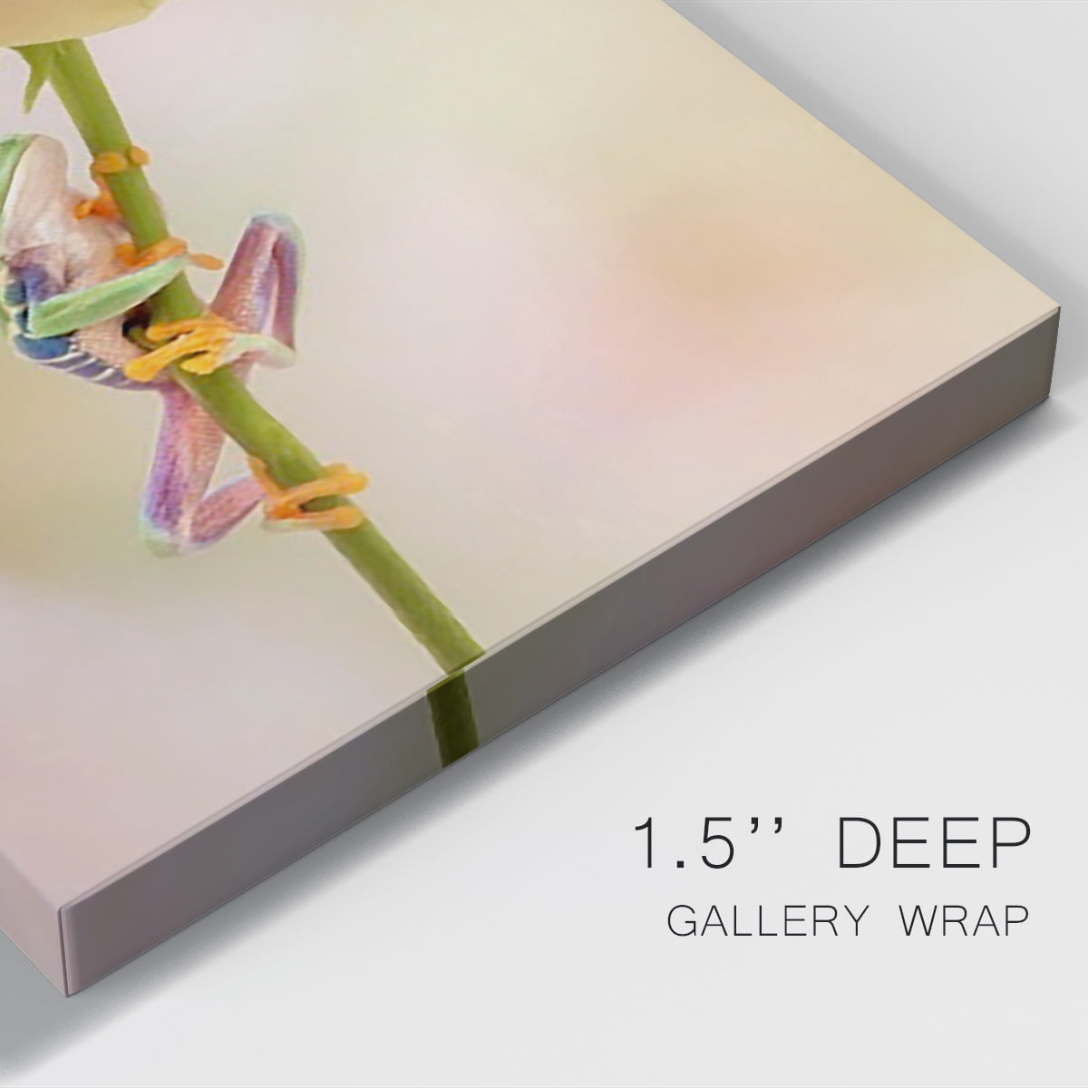 Hanging On II Premium Gallery Wrapped Canvas - Ready to Hang