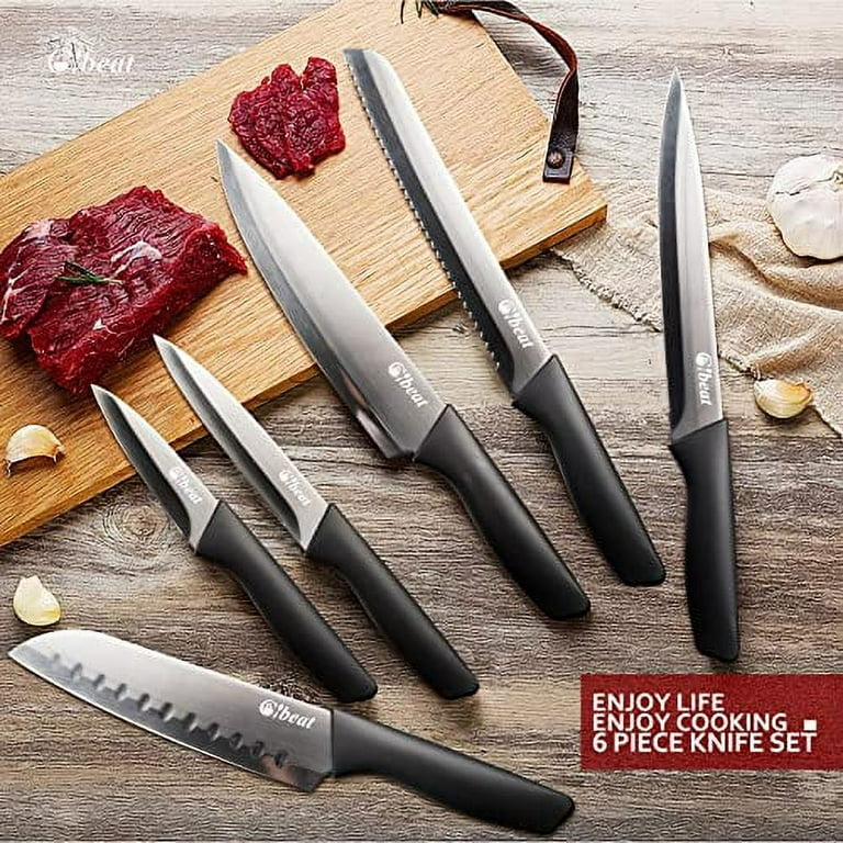 6 Piece Metallic Knife Set with Case, Professional Sharp Kitchen Knife Set,  Dishwasher Safe Stainless Steel Knives Set for Cooking in Black, Scratch