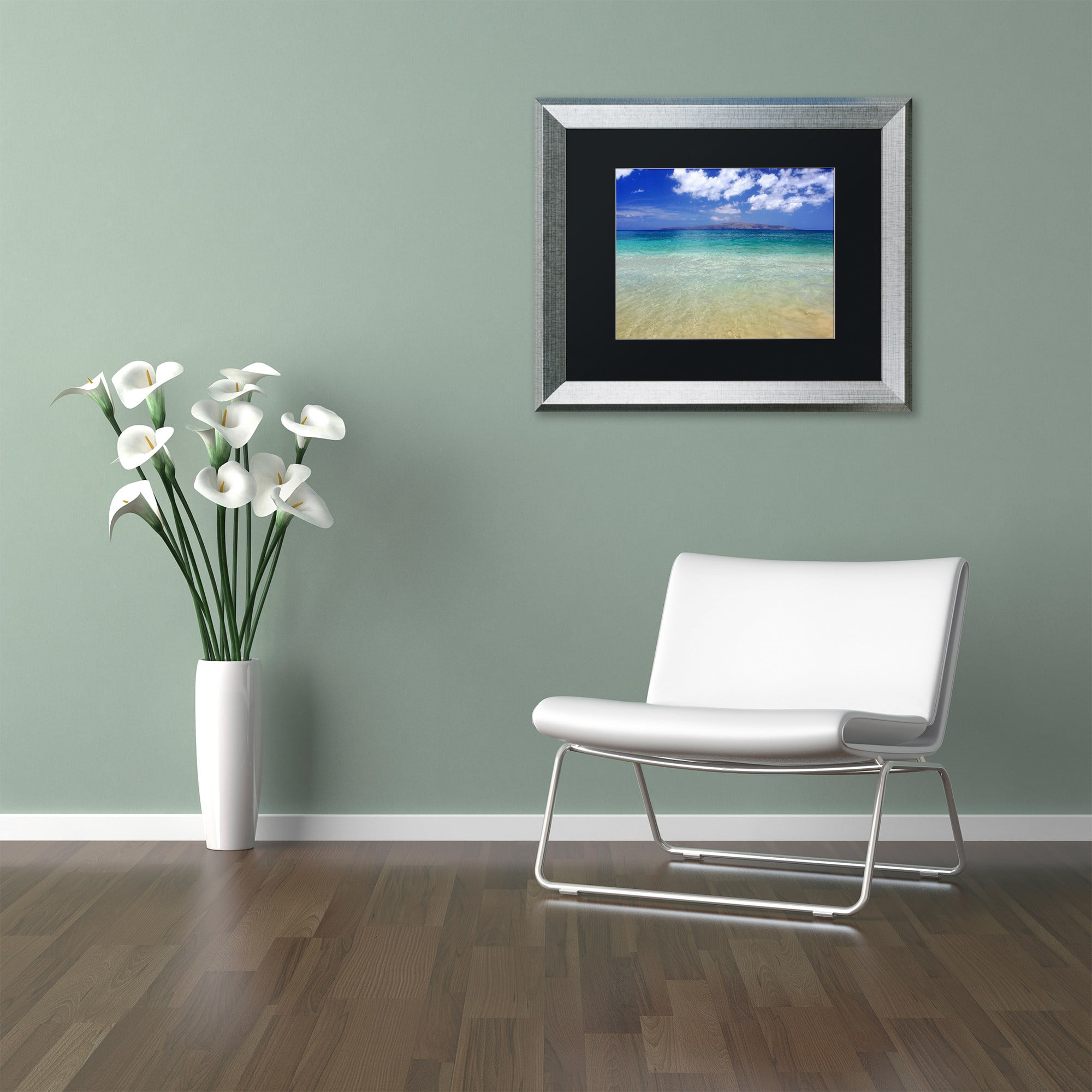 Trademark Fine Art "Hawaii Blue Beach" Canvas Art by Pierre Leclerc Black Matte, Silver Frame