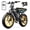 R9-Yellow-2*15AH-Lock, variant on TST Electric Bike for Adults, 750W Motor, 20"x4" Fat Tire E Bicycle, E Mountain Bike, 48V/15AH, Tested to UL2849 Standard by SGS