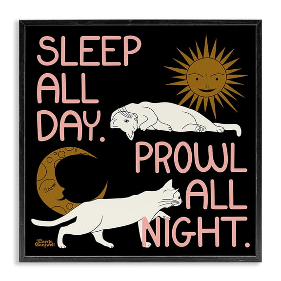 Stupell Industries Bohemian Night & Day Cats Black Framed Giclee Art, 12 x 12, by Carrie Cantwell