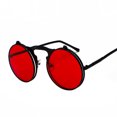 thumbnail image 1 of Jett 3057 Lunettes de Soleil Rétro en Métal steampunk à Clapet Lunettes de Soleil à Clapet pour Hommes et Femmes Monture Ronde à la Mode Lunettes Prince, 1 of 7