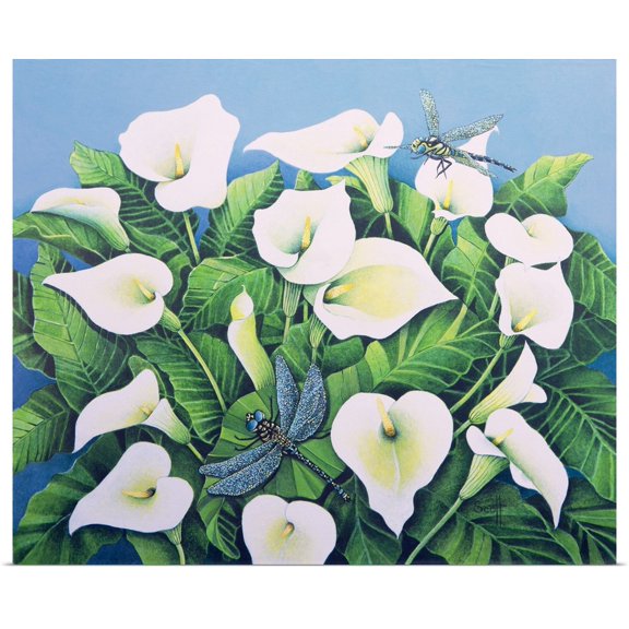 Great BIG Canvas | Rolled Pat Scott Poster Print entitled Dragon Flies