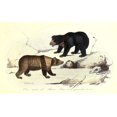 thumbnail image 1 of Poster Imprimé sur Toile (24 x 18), 1 of 1