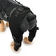 thumbnail image 5 of Rodillera para patas traseras de perros, vendajes cómodos y soporte para las patas de los perros Negro Pequeño, 5 of 5