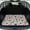 Halloween Skeleton Pattern, variant on HUISEFOR Skull Rose Car Trunk Mat 29" x 39" Universal Cargo Mat Rear Trunk Liner Anti Slip All Weather Fits for Most Cars SUV