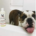 thumbnail image 6 of Oatmeal Shampoo - For Dogs With Itchy Skin and Coats - Cherry Scented, 6 of 8