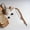 #2, variant on Rkxzt Bread Slicer Stainless Steel Bread Bow Knife with Serrated Blade 15.5 Inch Wood Handle Slicing Tool for Bread Tomatoes Cucumbers Kitchen