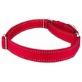 thumbnail image 5 of Country Brook Petz® Red Reflective Nylon Martingale Dog Collar, Extra Large, 5 of 6