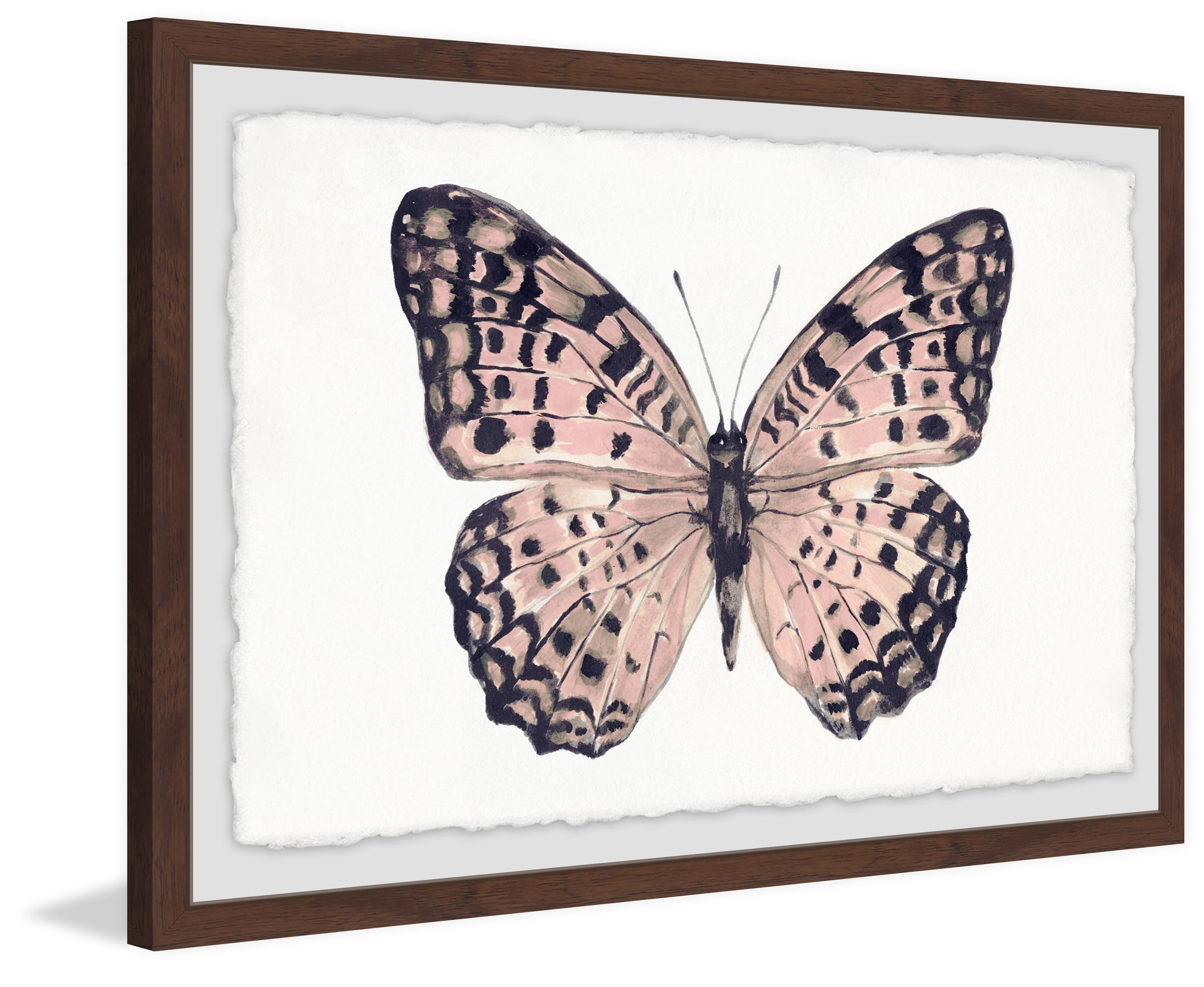 Pink and Black Wings Framed Painting Print