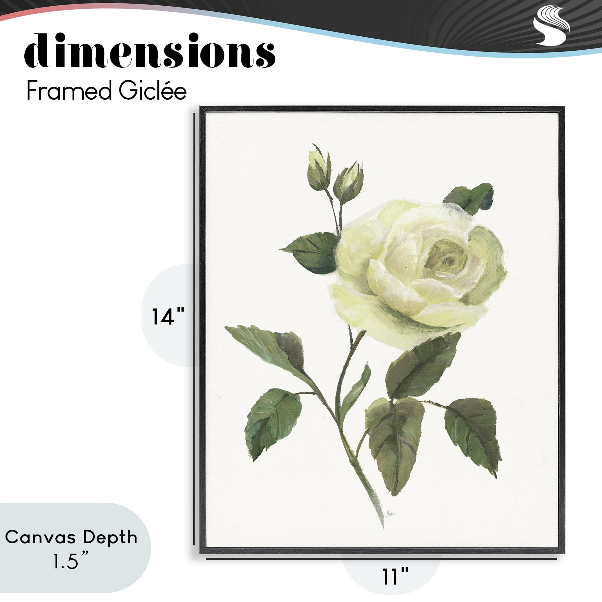 Stupell Industries Cream Garden Rose with Buds Black Framed Giclee Art, design by Nan