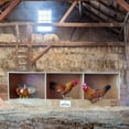 thumbnail image 4 of Rugged Ranch TRIPLEX RuggEgg Barn Wooden Chicken Coop Triple Nesting Egg Boxes, 4 of 7