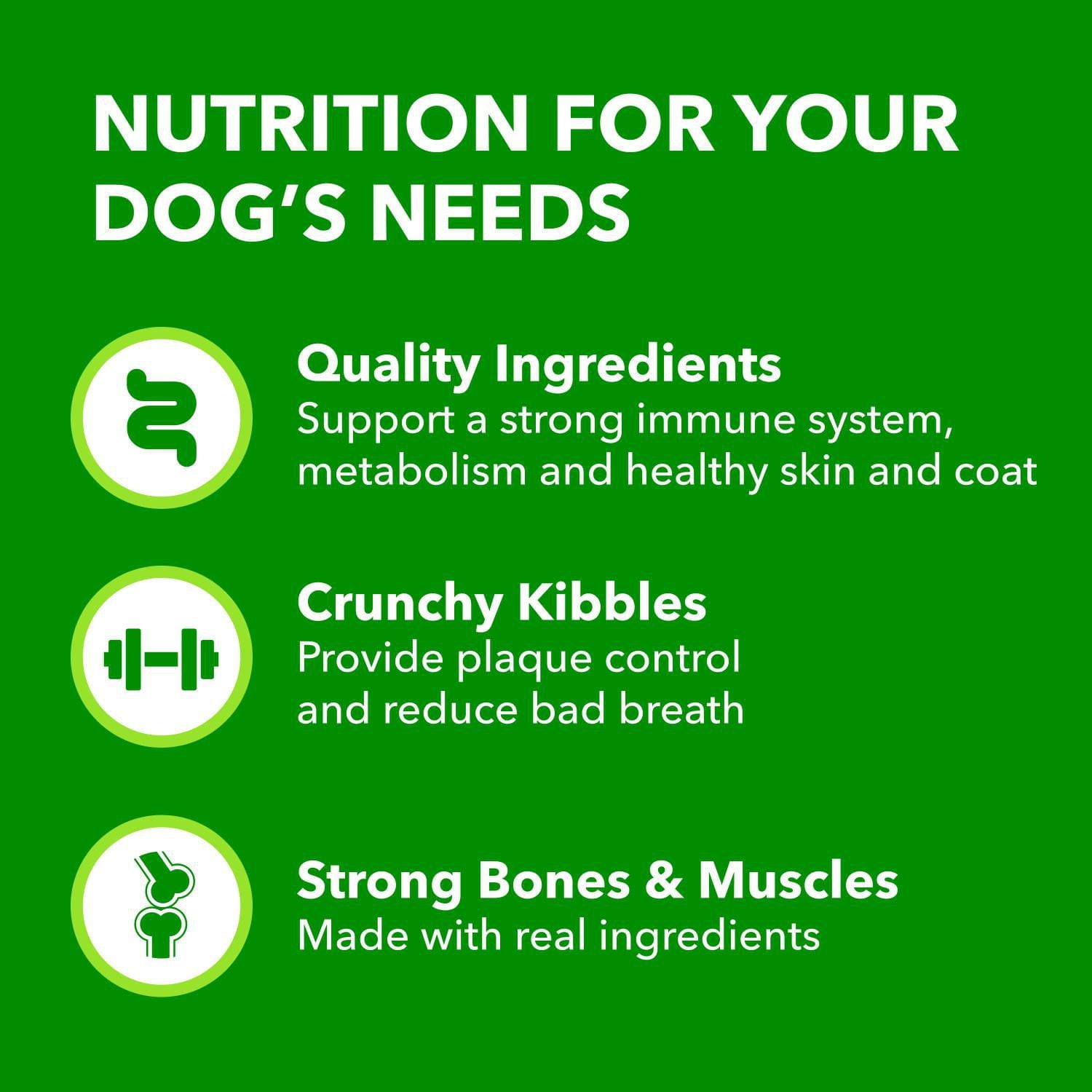 Nourriture sèche pour chiens adultes IAMS Minichunks Recette avec poulet et grains entiers 1,5-17,46 kg