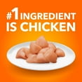 thumbnail image 4 of IAMS PROACTIVE HEALTH Healthy Weight Adult Dry Cat Food – With Chicken 1.6kg, 4 of 15