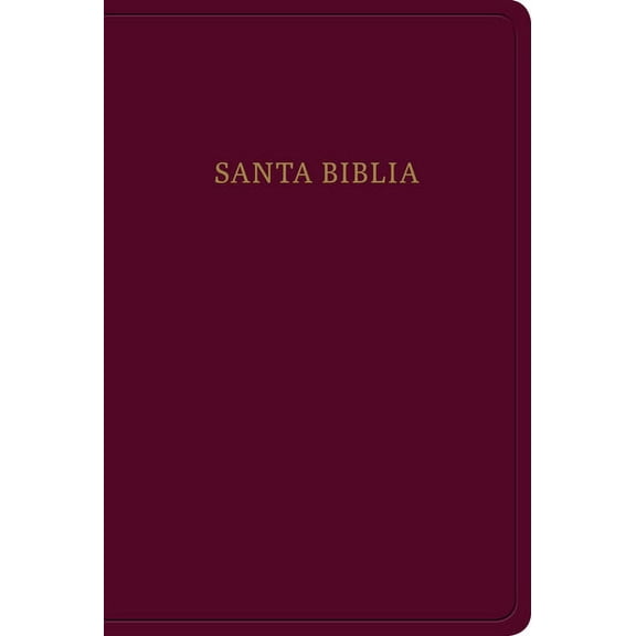RVR 1960 Biblia letra grande tamaño manual, borgoña imitación piel : Santa Biblia (Hardcover)