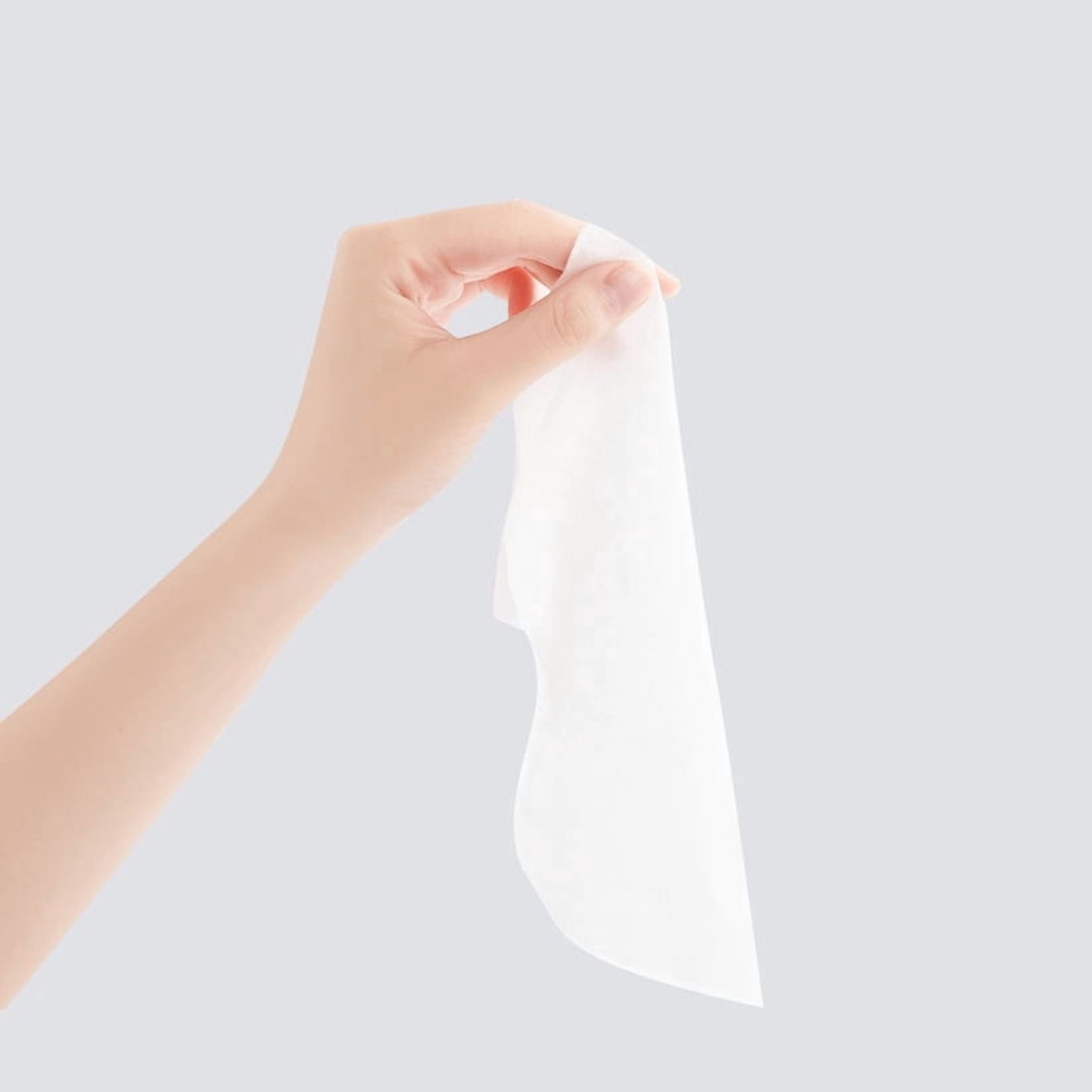 The Nice Bum Flushable Wipes, Adult Wet Wipes with EDI water, Bundle Wipes 42 ct * 6 packs