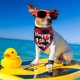 thumbnail image 5 of Alguien le dio a mi papá una bufanda de perro de cerveza bufanda conjunto de bufanda babero perro gato mascota animal MFZFUKR CPB-US-YY806-4, 5 of 5